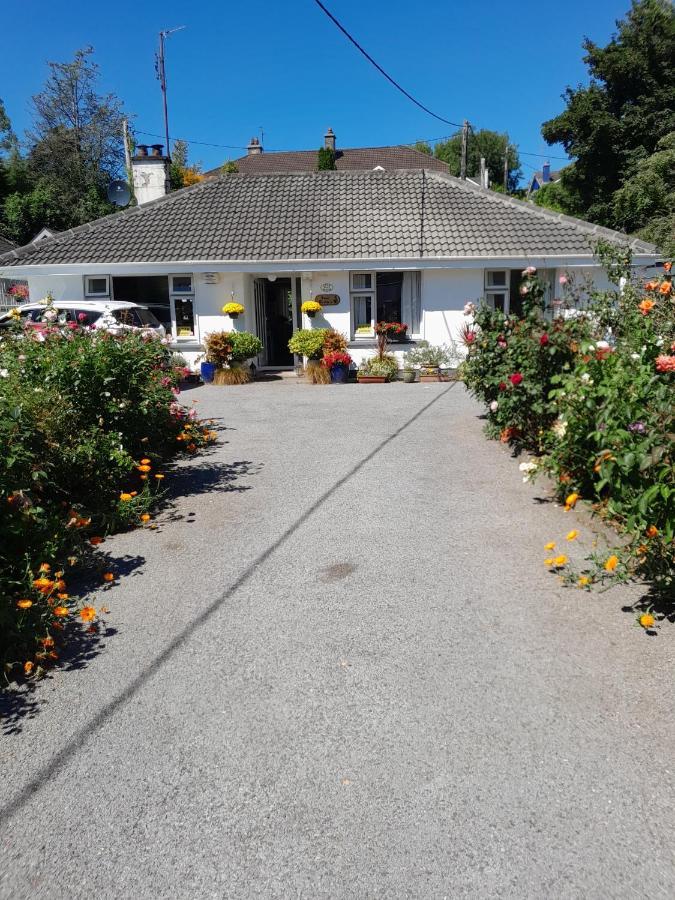 Saint Martin'S Bed And Breakfast Bandon Exteriér fotografie